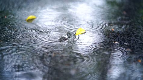 下雨天